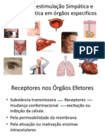 Estimulação Simpática e Parassimpática em órgãos