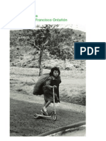 Catálogo "Más que niños", fotografías de Paco Ontañón