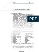 La Canasta Familiar en El Perú