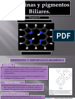 Bioquimica - Porfirinas y Pigmentos Biliares2