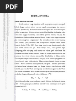 Download BAB II Tinjauan Pustaka by Mare Anggiarman SN109544153 doc pdf