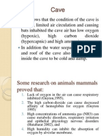 Results Journal