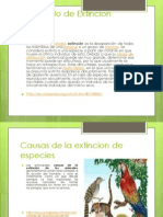 Trabajo Final Power Point