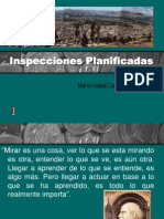 Inspecciones Planificadas_Los Andes
