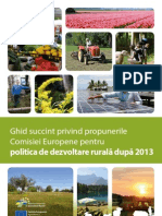 Ghid Succint Propuneri CE - Politica DR Dupa 2013 - 43