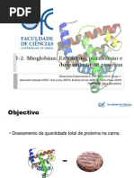 Download I-2 -Mioglobina_Doseamento_Clculos_grupo1_PL2 by Alexandra Salvado SN109571338 doc pdf