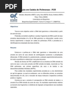 Download PCR Relatorio by Alexandra Salvado SN109571633 doc pdf