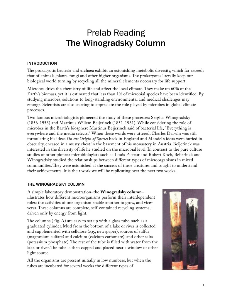 The Winogradsky Column Download Free PDF Bacteria Cyanobacteria