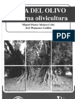 Poda Del Olivo. Moderna Olivicultura 5. Edicion 