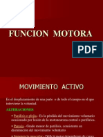 _funcion Motora y Sensitiva