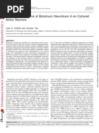 Imagequant Tl Iqtl Software Ge Healthcare Biosciences