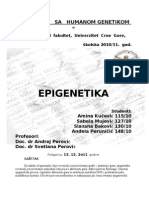 Epigenetika - Seminarski Rad