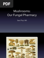 Download Fungal Pharmacy by Antoni Gandia SN109646345 doc pdf