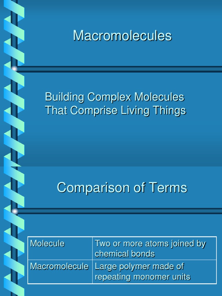 Macromolecules: Building Complex Molecules That Comprise Living Things ...