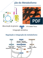 integração metabólicaset2012 (1)