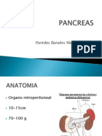 pancreas-101024222110-phpapp02