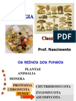 Micologia Classificacao Aluno