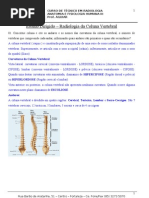 Estudo Dirigido Da Coluna