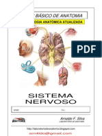 11127979 Apostila Anatomia Sistema Nervoso