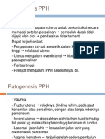 Patogenesis PPH(LI 3b)