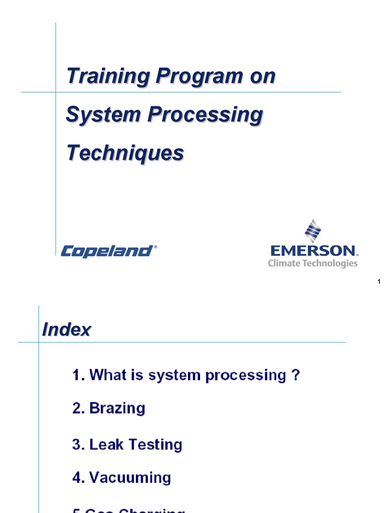 Training Program On System Processing Techniques | PDF