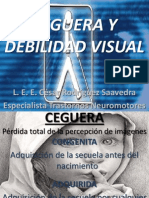 Exposicion Ceguera y Debilidad Visual