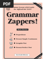 English Experience Press Grammar Zappers
