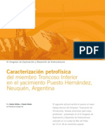 Caracterización Petrofísica Cuenca Neuquen