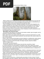 evolução nivel.. EGO