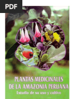 Plantas Medicinales Wikipedia Plantas Medicinales Ajo