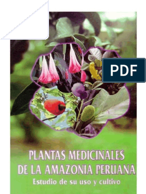 Plantas Medicinales Plantas Medicinales Agricultura