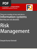 Download Risk Management by Freaquer Corporation SN109761837 doc pdf