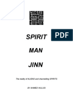 Jin Spirit Human (Reincarnation)