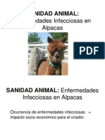 Enfermedades Infecciosas y Parasitarias en Alpacas 09