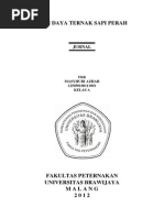 Download Analisis Jurnal Sapi Perah by Masyhuri Azhar SN109783373 doc pdf