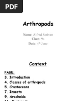 Arthropods: Name: Alfred Scriven Class: 9s Date: 4