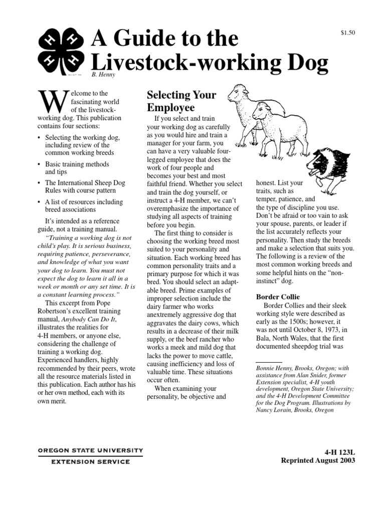 Border Collie Training Guidelines | PDF | Border Collie | Collie
