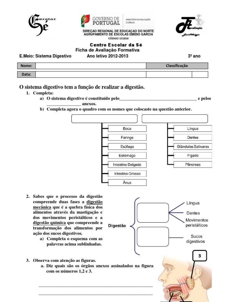 EM3-02 Sistema Digestivo | PDF | Sistema digestivo humano | Digestão, image size:768x1024
