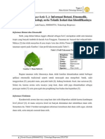 Download Daun Sirih Piper Betle L - Informasi Botani Etnomedik Fitokimia Farmakologi Serta Teknik Isolasi Dan Identifikasinya by Farah Fauzia SN109820444 doc pdf