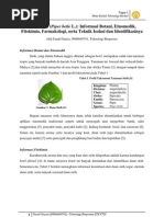 Download Daun Sirih Piper Betle L - Informasi Botani Etnomedik Fitokimia Farmakologi Serta Teknik Isolasi Dan Identifikasinya by Farah Fauzia SN109820444 doc pdf