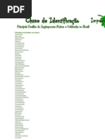 Chave de Identificação