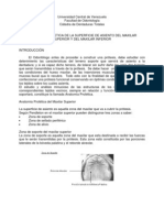 Anatomia Protetica de La Superficie de Asiento