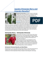What is Schisandra Chinensis Berry and What Are Schizandra Benefits?