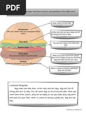 Hamburger Paragraph, Essay, And Thesis