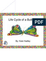 Life Cycle of A Butterfly