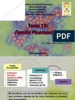 TEMA 16 Picornavirus