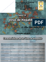 TEMA 19 Virus de Hepatitis