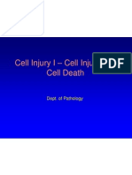 Cell Injury I - Cell Injury and Cell Death: Dept. of Pathology