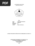 Download Laporan Anatomi  Katak by Wina Pratiwi Nugrahani SN109907430 doc pdf