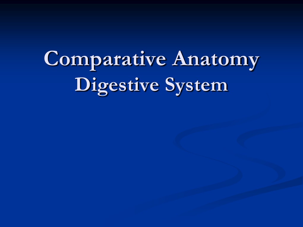 Anatomy of Digestive System!! | PDF | Gastrointestinal Tract | Stomach